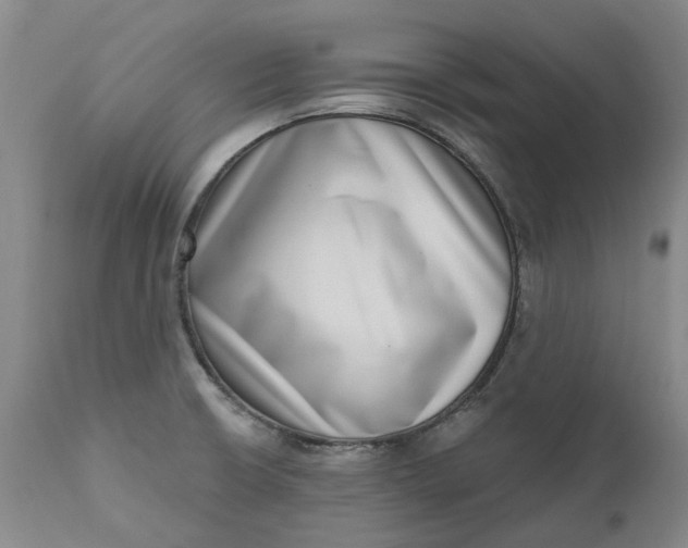 X0000111181426200907151313