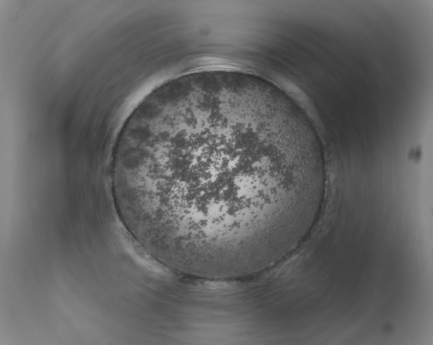 X0000111181427200907151313