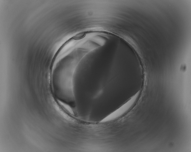 X0000111181428200907151313