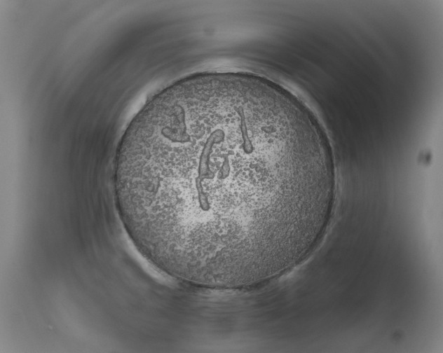 X0000111181429200907151313