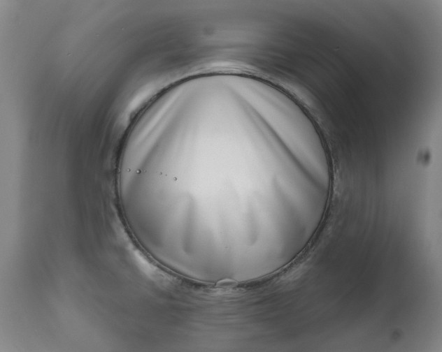 X0000111181430200907151313