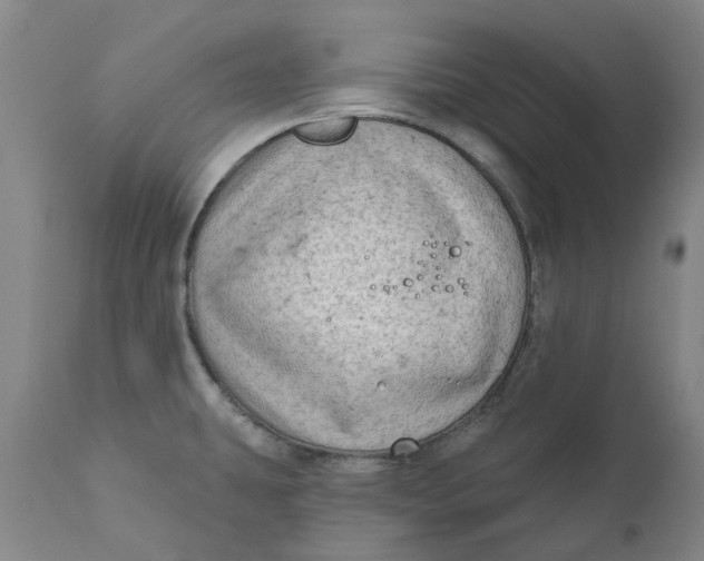 X0000111181431200907151313