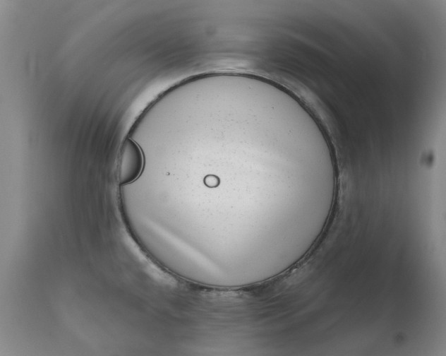 X0000111181432200907151313