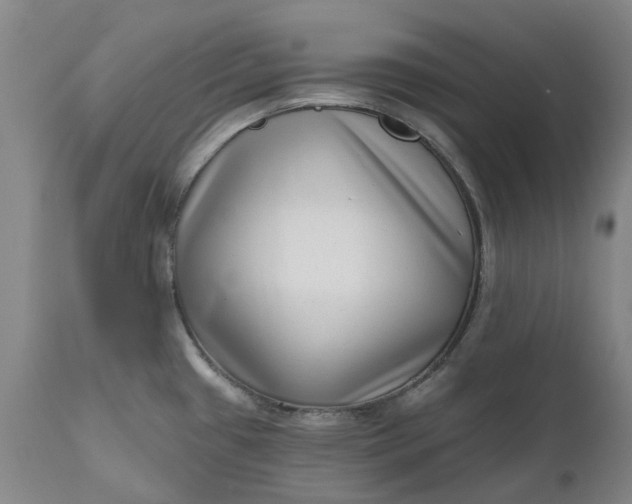 X0000111181433200907151313