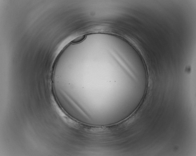 X0000111181434200907151313