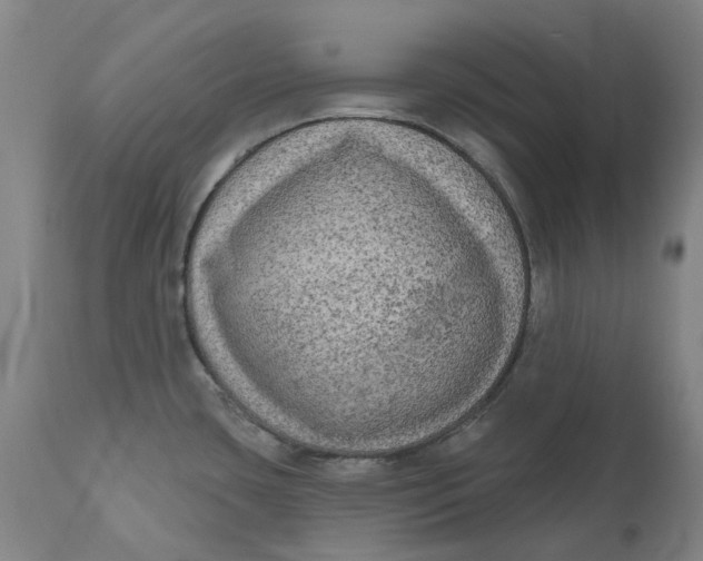 X0000111181435200907151313