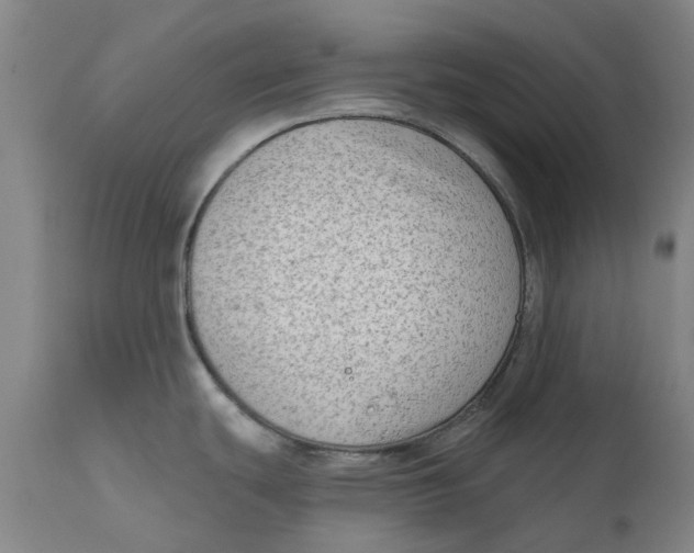 X0000111181439200907151313