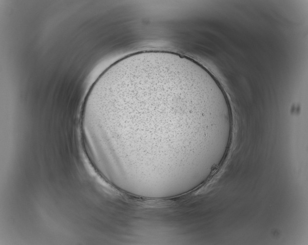 X0000111181440200907151313