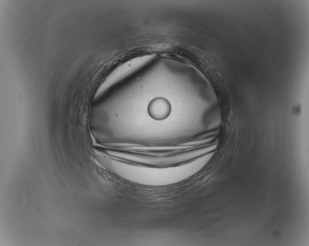 X0000111181441200907151312