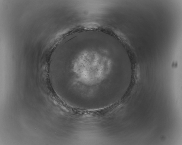 X0000111181445200907151312