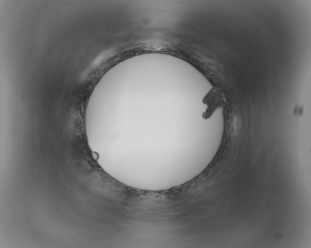 X0000111181446200907151312