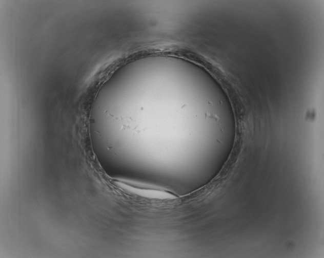 X0000111181447200907151312