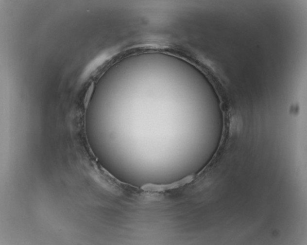 X0000111181448200907151312