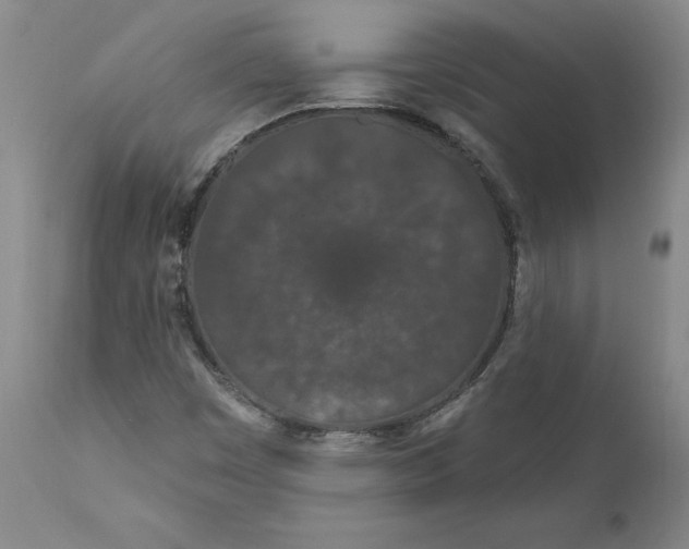 X0000111181449200907151312