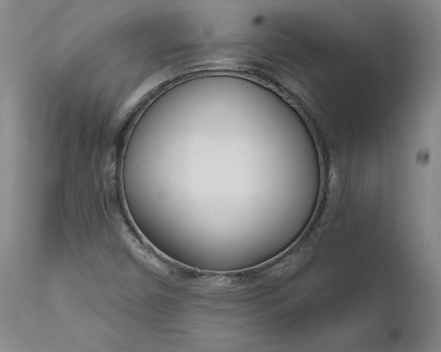 X0000111181450200907151312