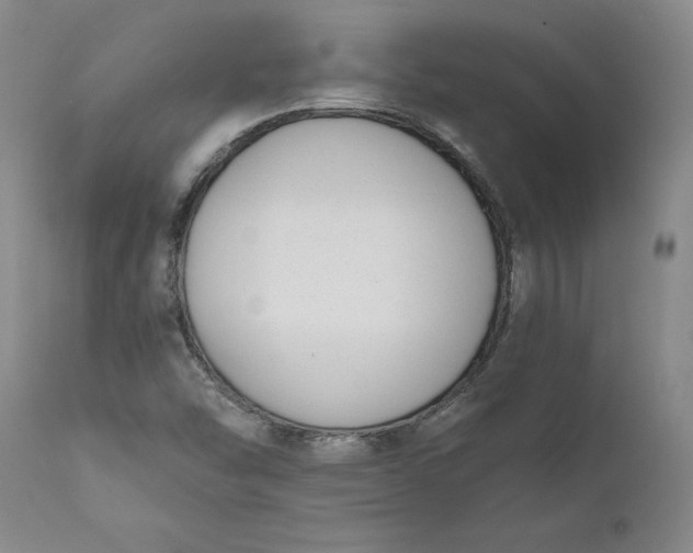 X0000111181454200907151312