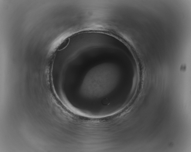 X0000111181455200907151312