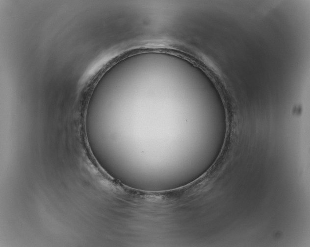 X0000111181456200907151312