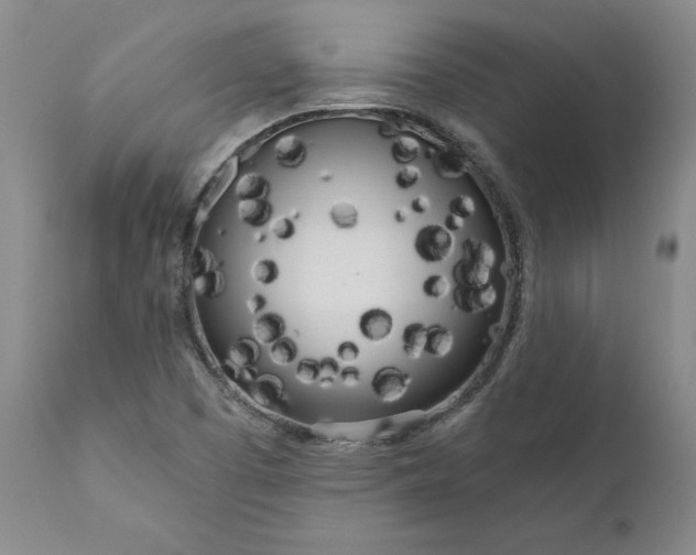 X0000111181457200907151312