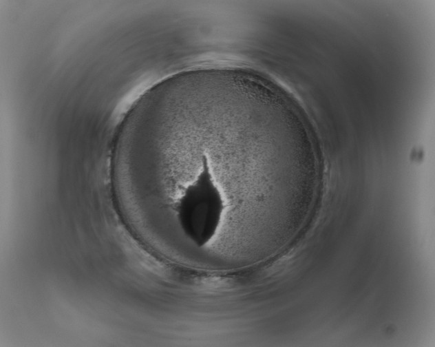 X0000111181459200907151312