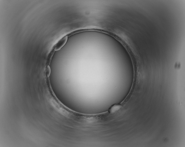 X0000111181460200907151312