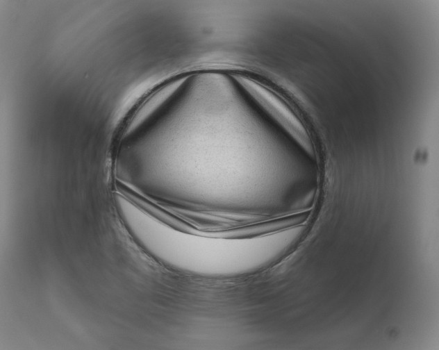 X0000111181461200907151312