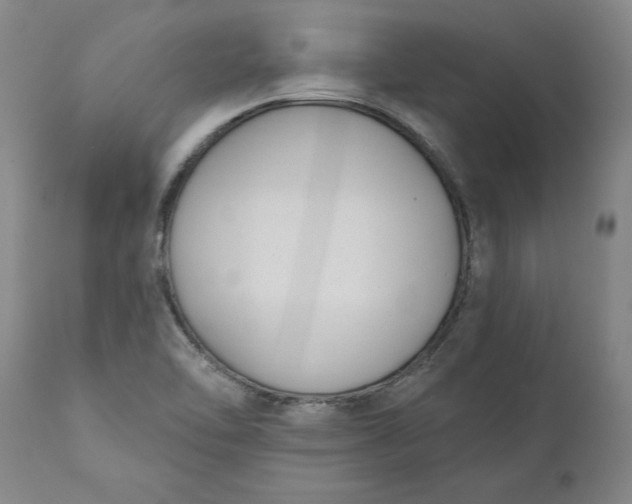 X0000111181462200907151312