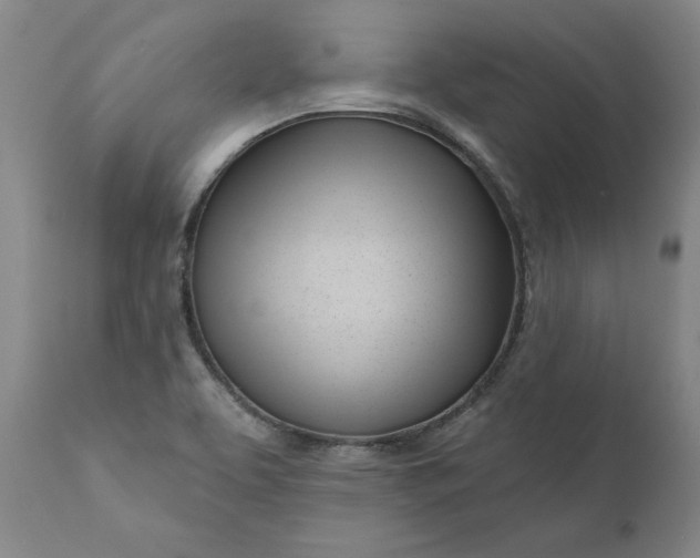 X0000111181463200907151312