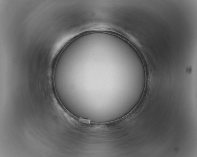 X0000111181464200907151312