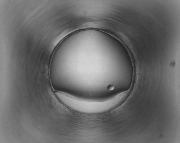 X0000111181465200907151312