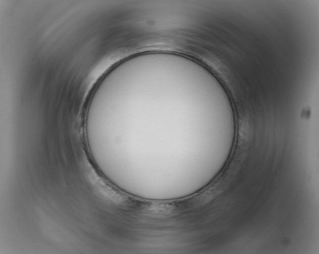 X0000111181466200907151312