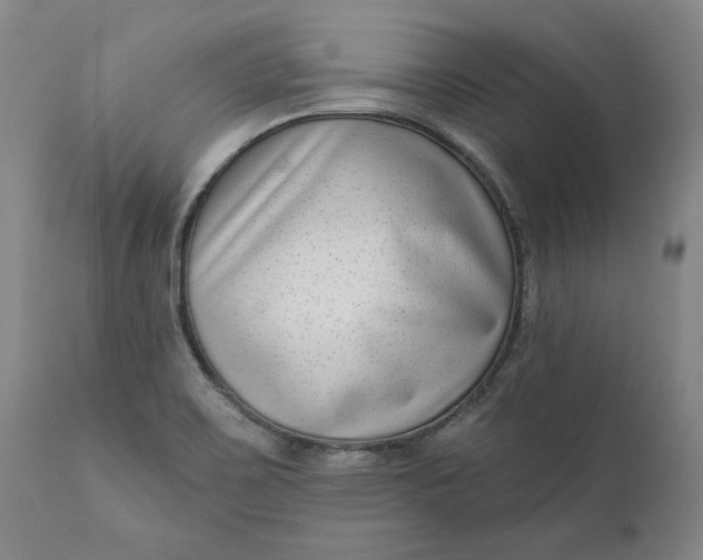 X0000111181467200907151312