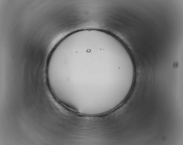 X0000111181469200907151312