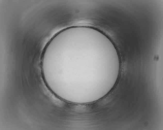 X0000111181470200907151312