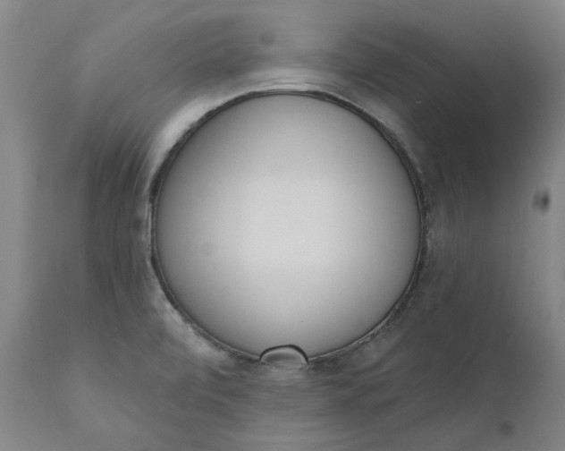 X0000111181472200907151312