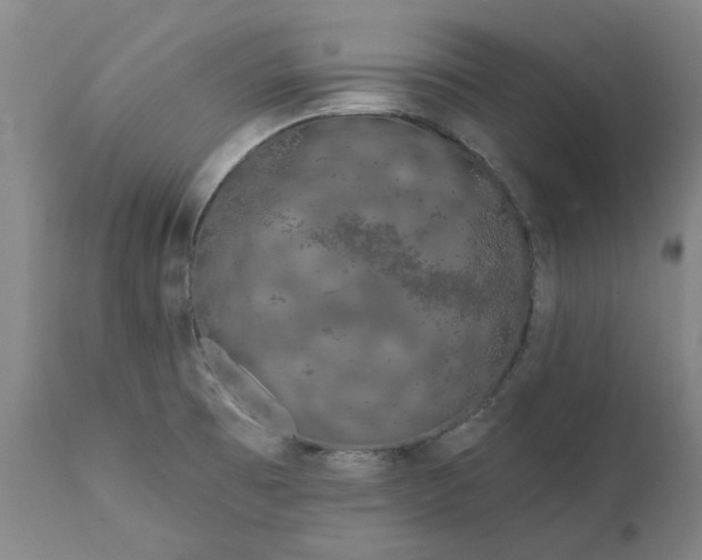 X0000111181473200907151312