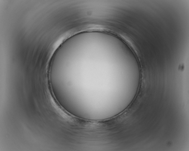 X0000111181475200907151312