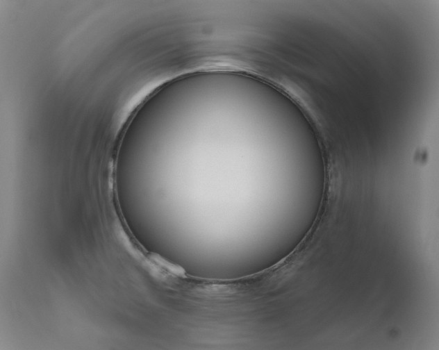 X0000111181476200907151312