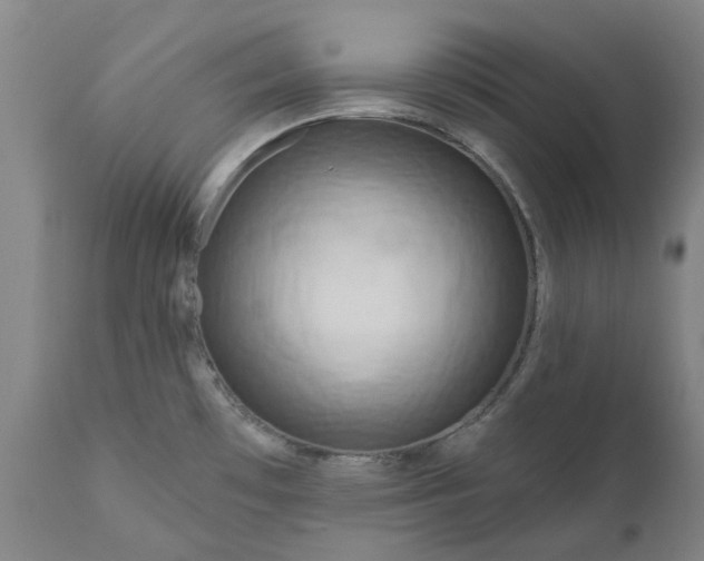 X0000111181481200907151312