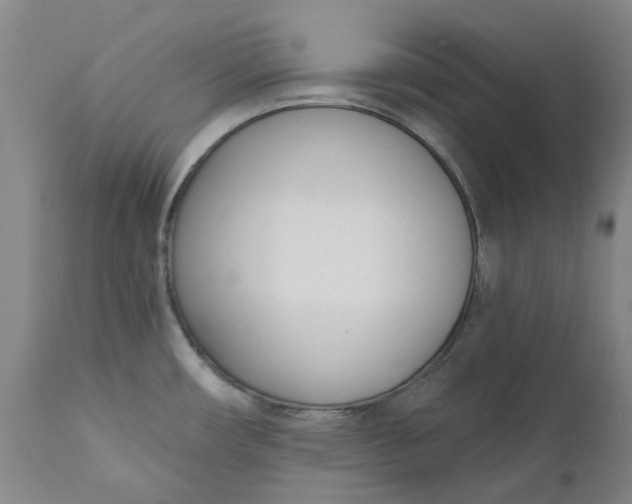 X0000111181482200907151311