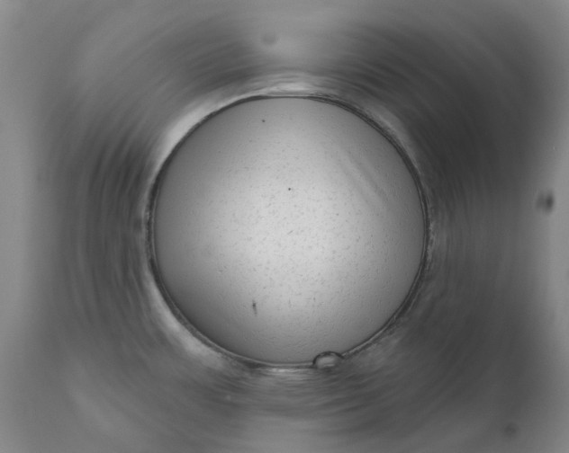 X0000111181483200907151311