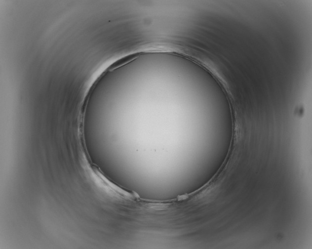 X0000111181484200907151311