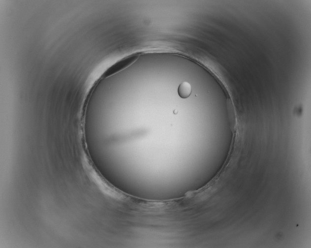 X0000111181485200907151311