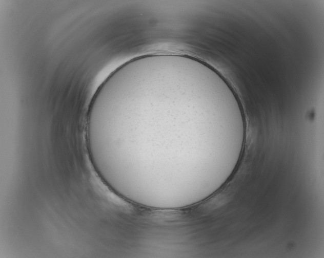 X0000111181486200907151311