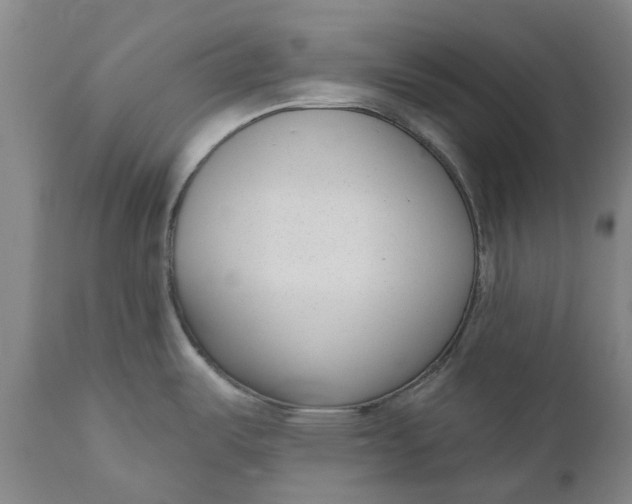 X0000111181487200907151311