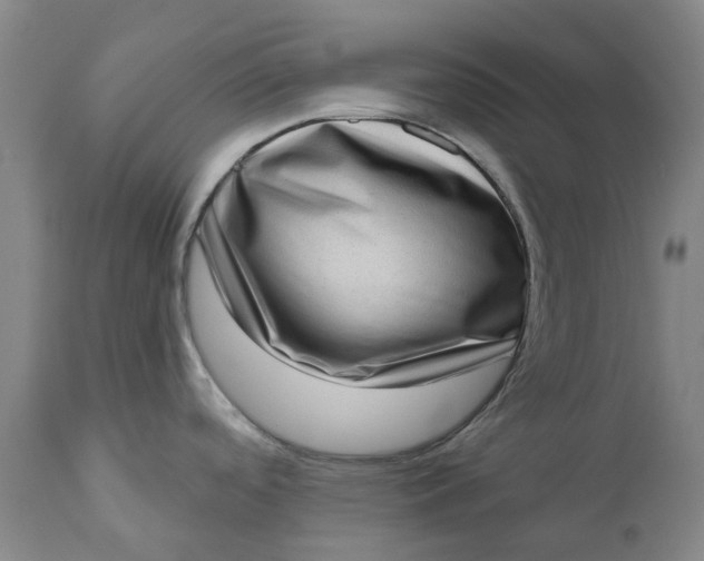 X0000111181488200907151311