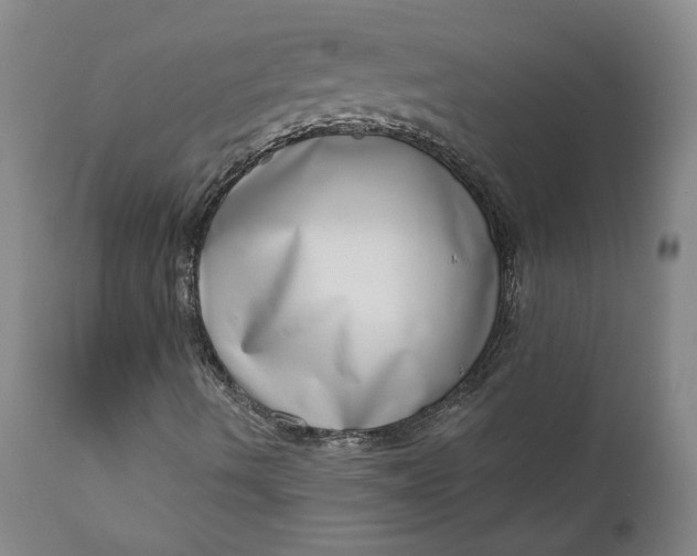 X0000111181490200907151311