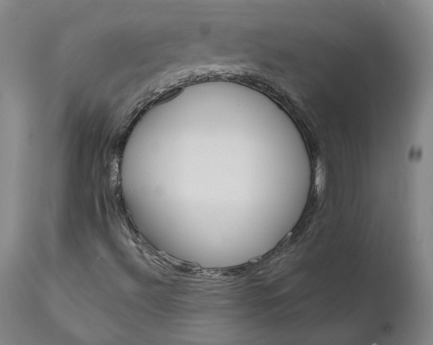 X0000111181492200907151311