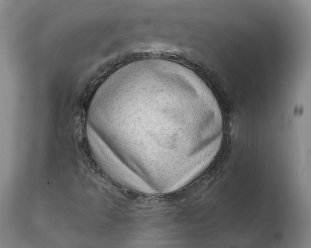 X0000111181493200907151311