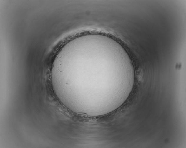 X0000111181495200907151311